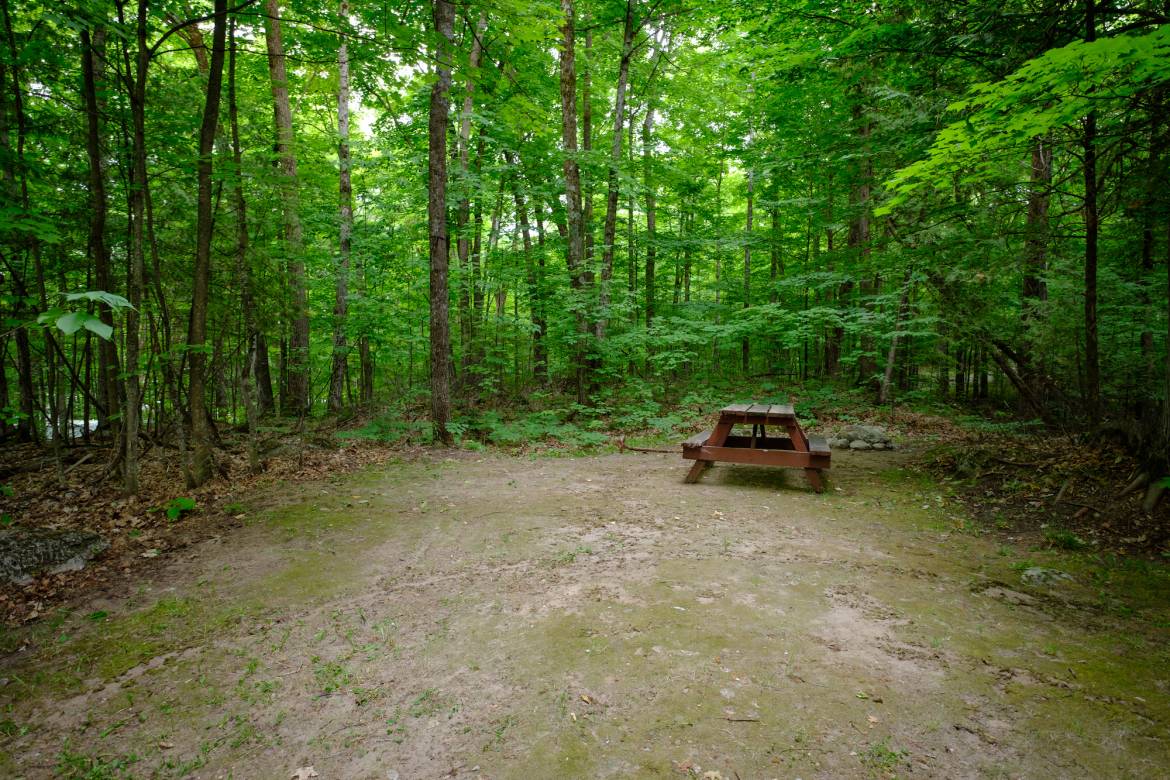 Woodland_camp_site_Buckhorn_Lakehurst_Kawarthas-1.jpg