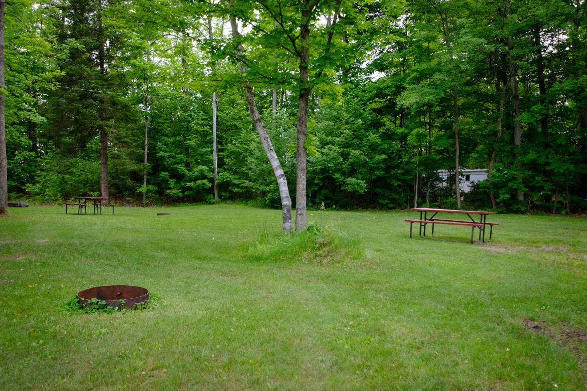 Woodland_camp_site_Buckhorn_Lakehurst_Kawarthas-16.jpg
