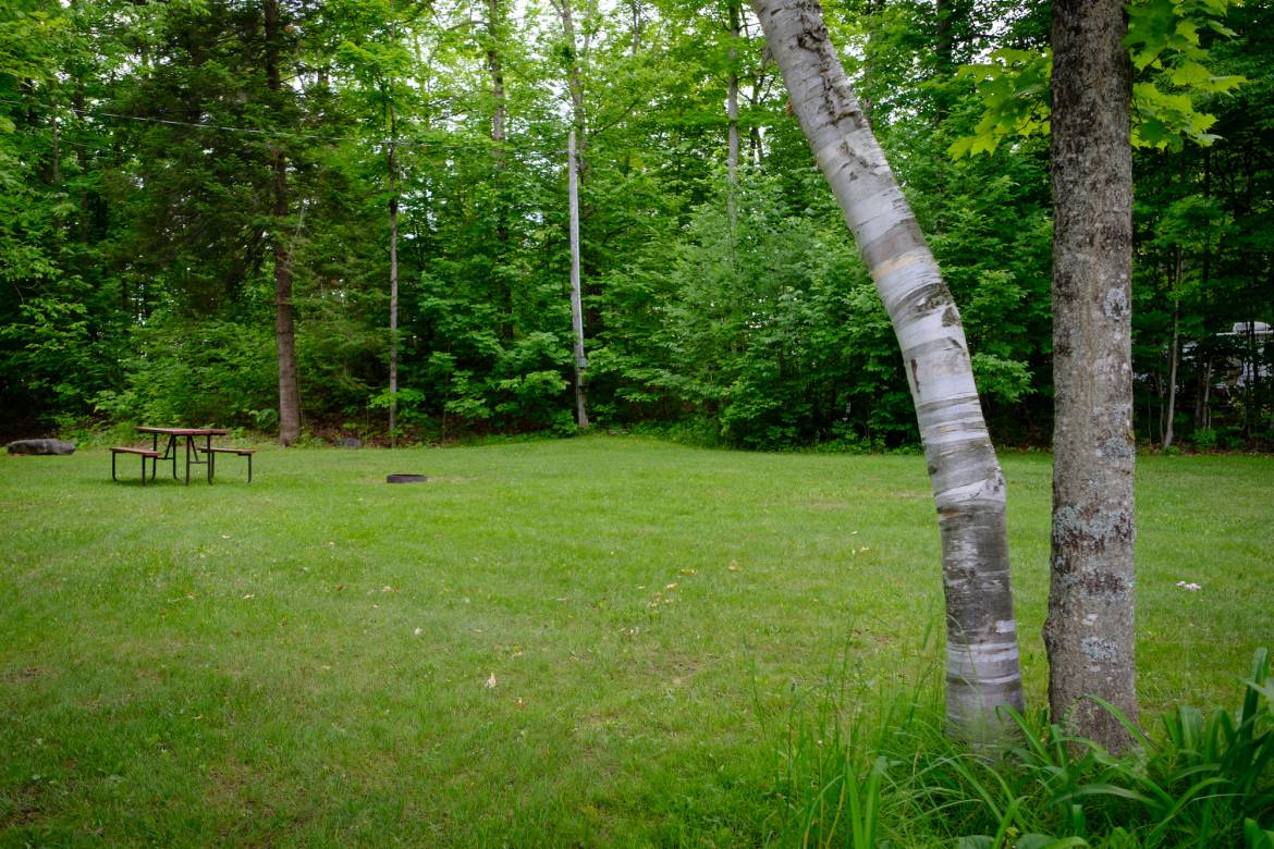 Woodland_camp_site_Buckhorn_Lakehurst_Kawarthas-17.jpg