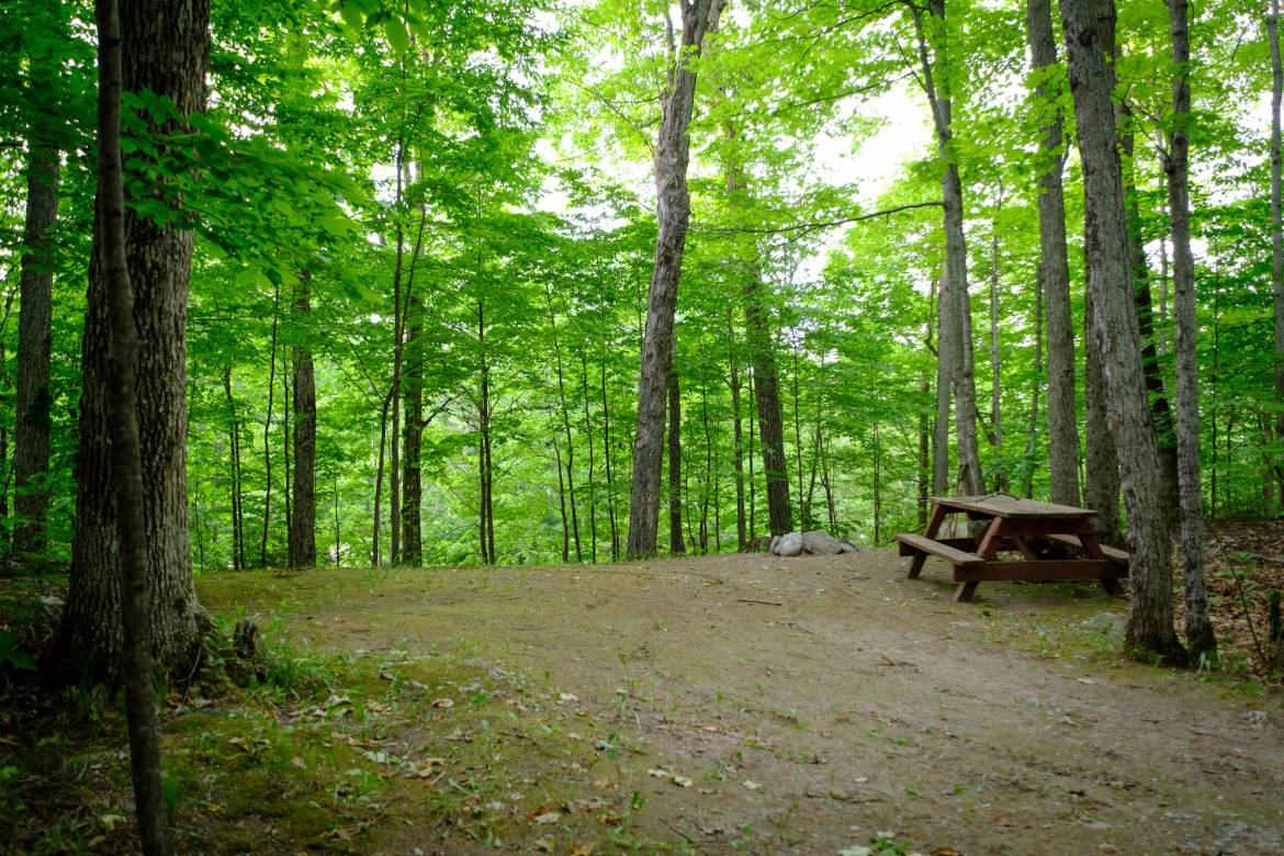 Woodland_camp_site_Buckhorn_Lakehurst_Kawarthas-2.jpg